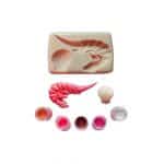 Shrimp with Shell Complete Set Silicone Mold
