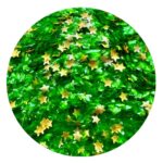 Merry Christmas Edible Glitter Shapes