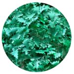 Christmas Trees Edible Glitter Shapes